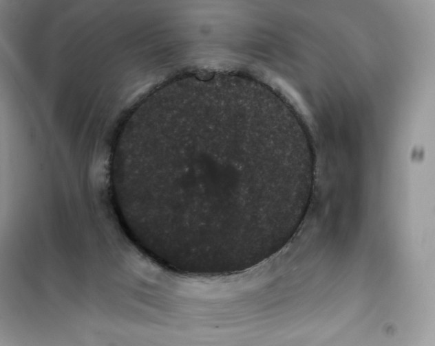 X0000101980017200808011110