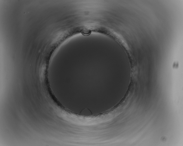 X0000101980018200808011110