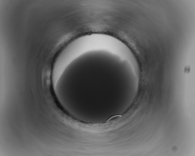 X0000101980019200808011110