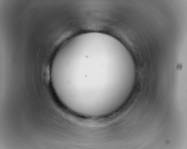 X0000101980020200808011110