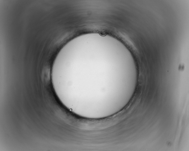 X0000101980021200808011110