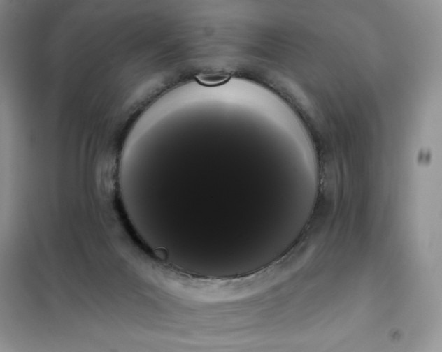 X0000101980023200808011110