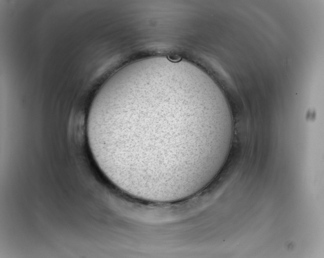 X0000101980024200808011110