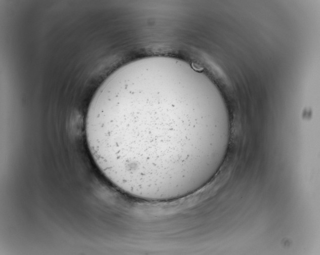 X0000101980025200808011110