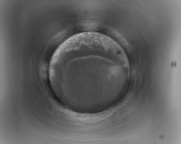 X0000101980026200808011110