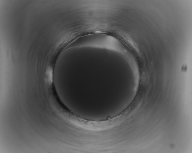 X0000101980027200808011110