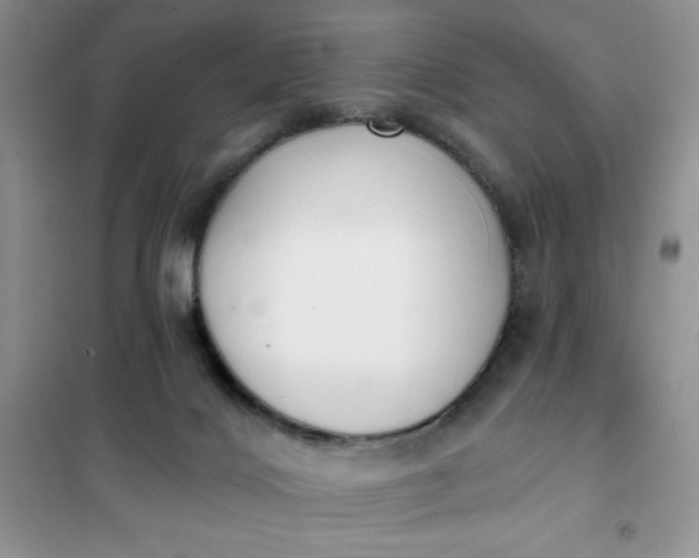 X0000101980028200808011110