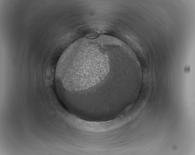 X0000101980030200808011110