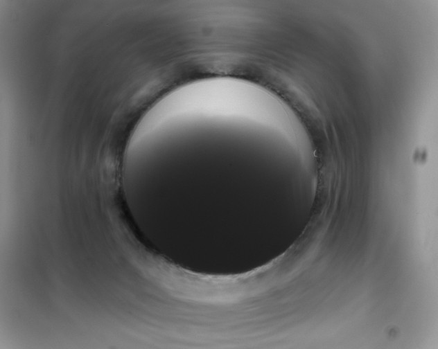 X0000101980031200808011110