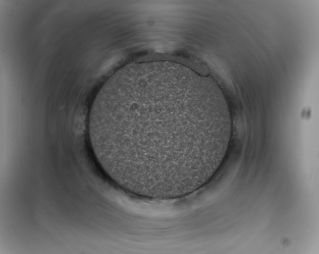 X0000101980032200808011110