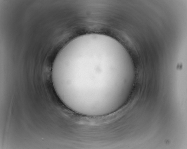 X0000101980033200808011110