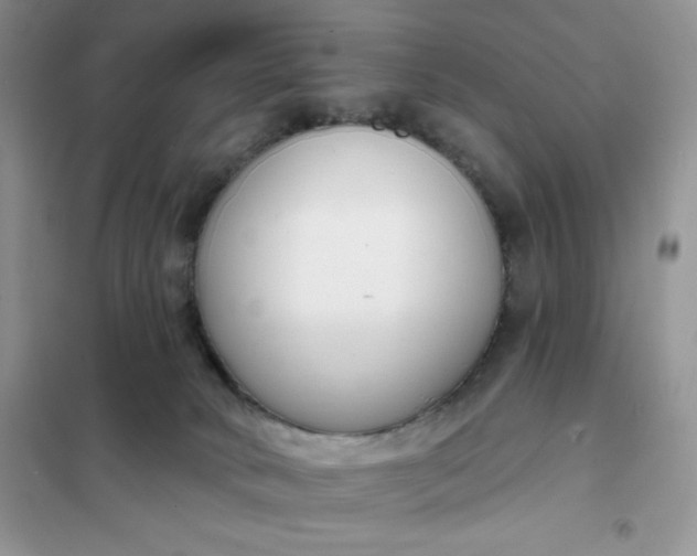 X0000101980034200808011110