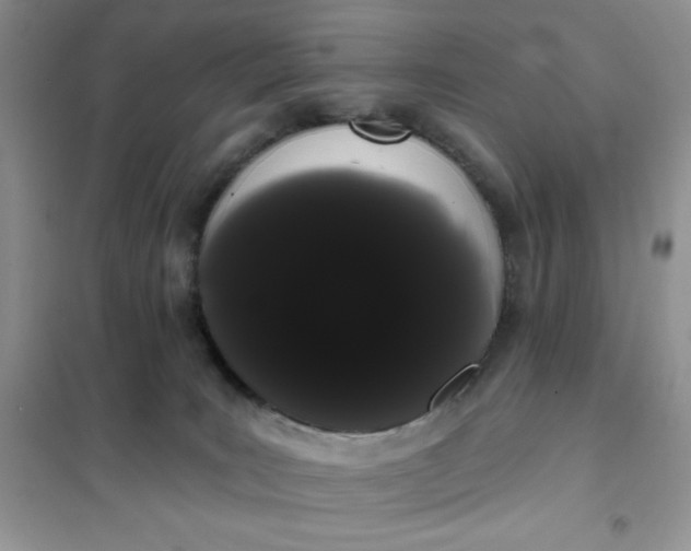 X0000101980035200808011110