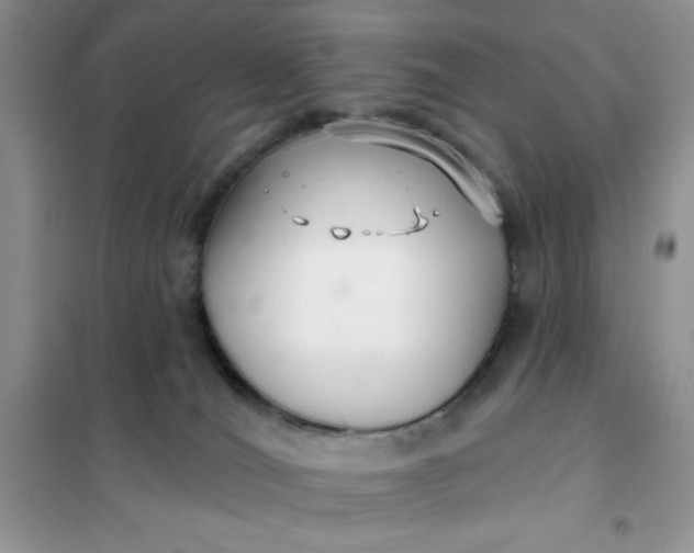 X0000101980036200808011110