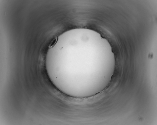 X0000101980037200808011110