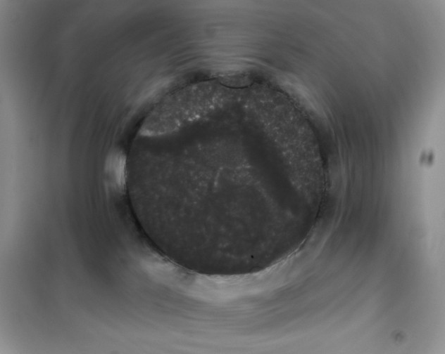 X0000101980041200808011110