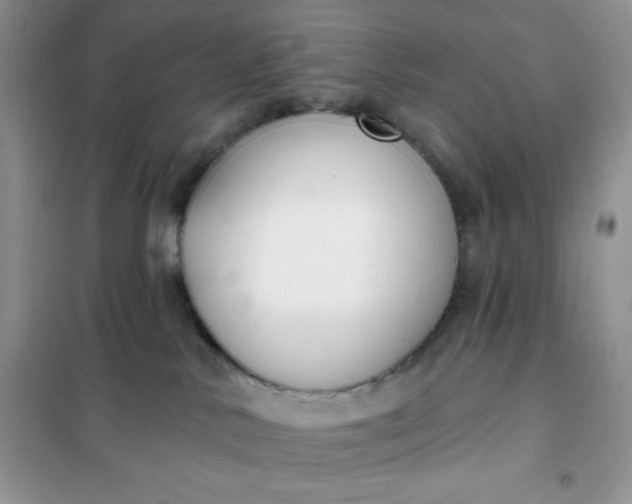 X0000101980042200808011110