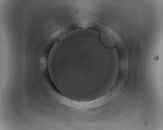 X0000101980043200808011110