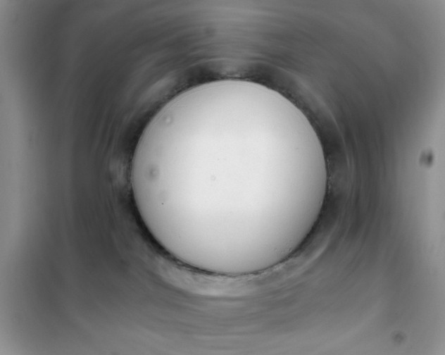 X0000101980044200808011110