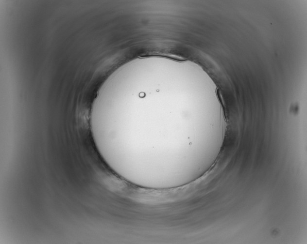 X0000101980045200808011110