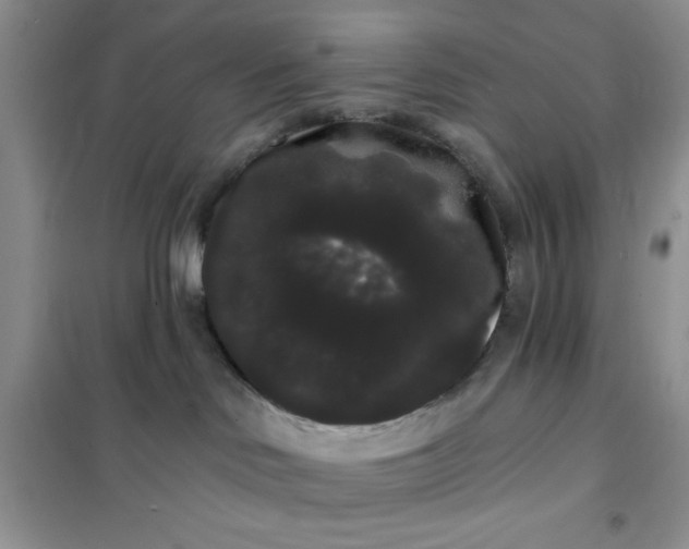 X0000101980046200808011110