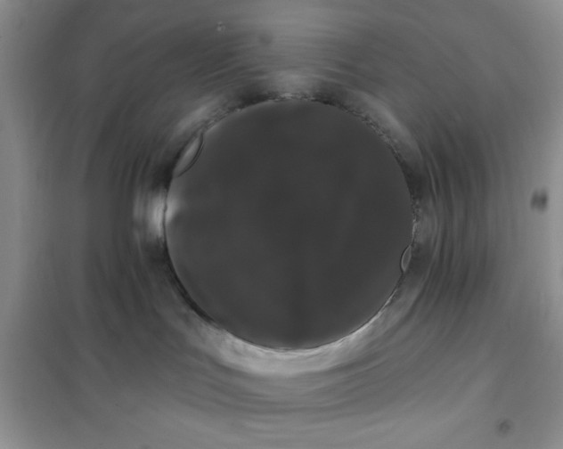 X0000101980047200808011110