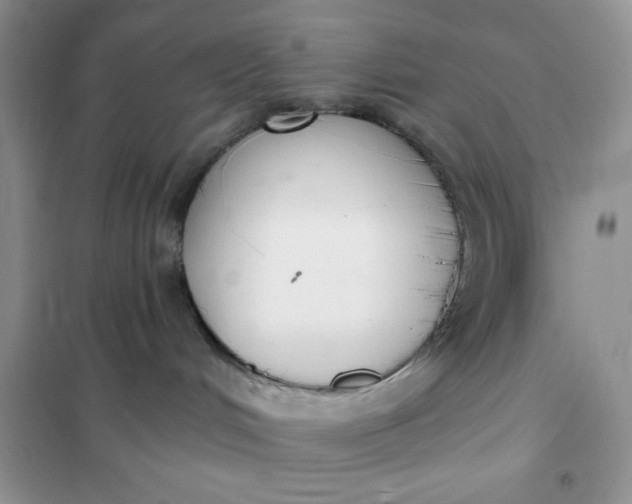 X0000101980048200808011110