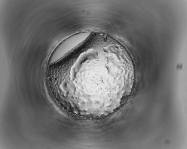 X0000101980049200808011109