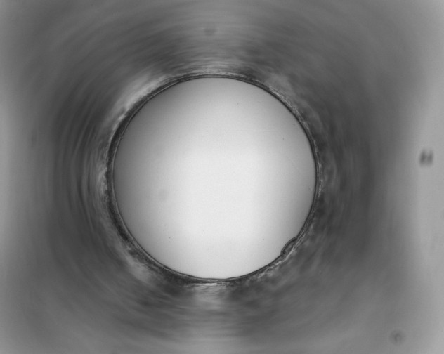 X0000101980050200808011109