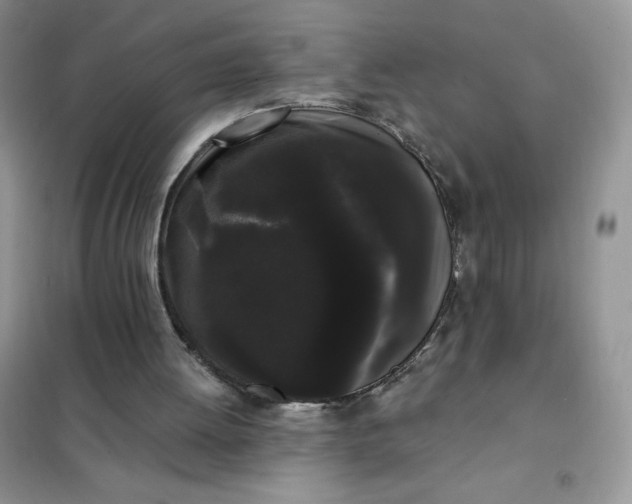 X0000101980052200808011109