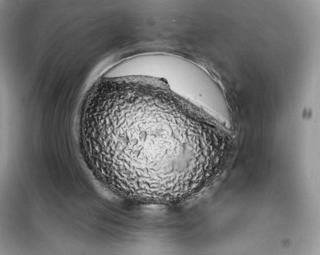 X0000101980053200808011109