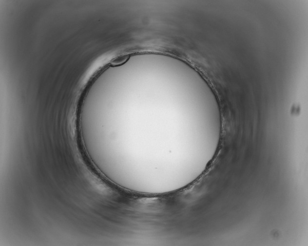 X0000101980054200808011109