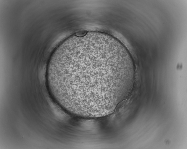 X0000101980058200808011109