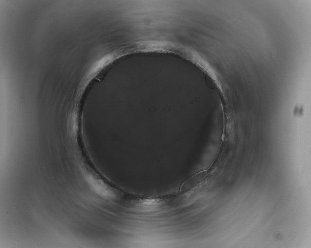 X0000101980059200808011109