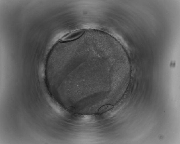 X0000101980060200808011109