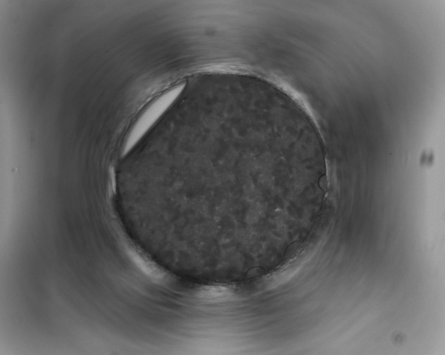 X0000101980061200808011109