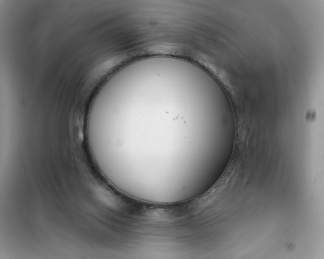 X0000101980062200808011109