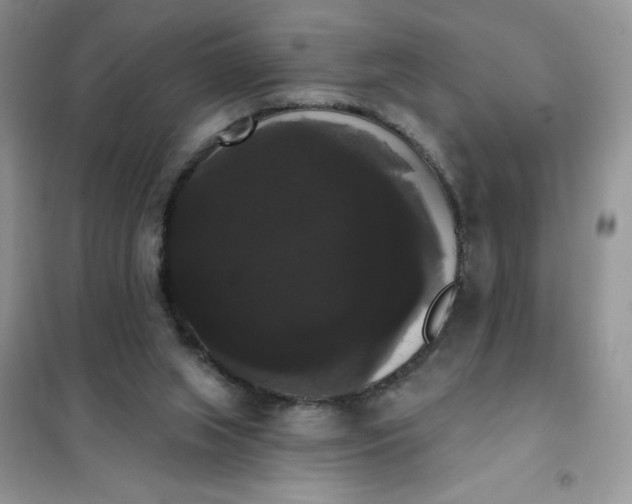 X0000101980063200808011109