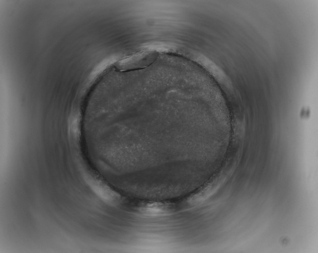 X0000101980064200808011109