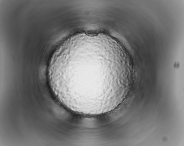 X0000101980066200808011109