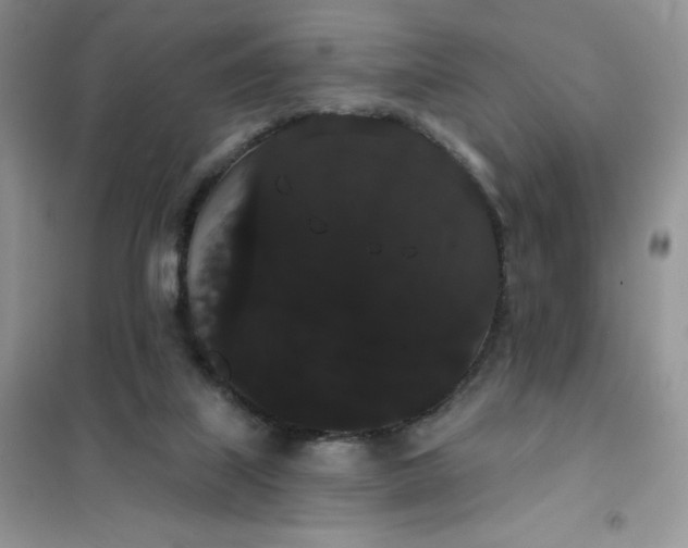 X0000101980067200808011109