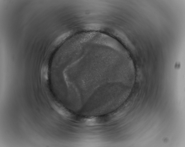 X0000101980068200808011109