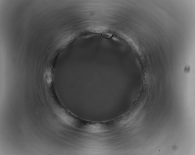 X0000101980069200808011109