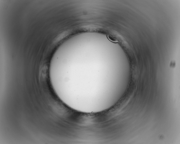 X0000101980071200808011109