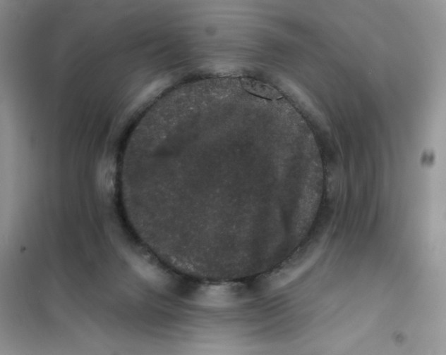 X0000101980072200808011109