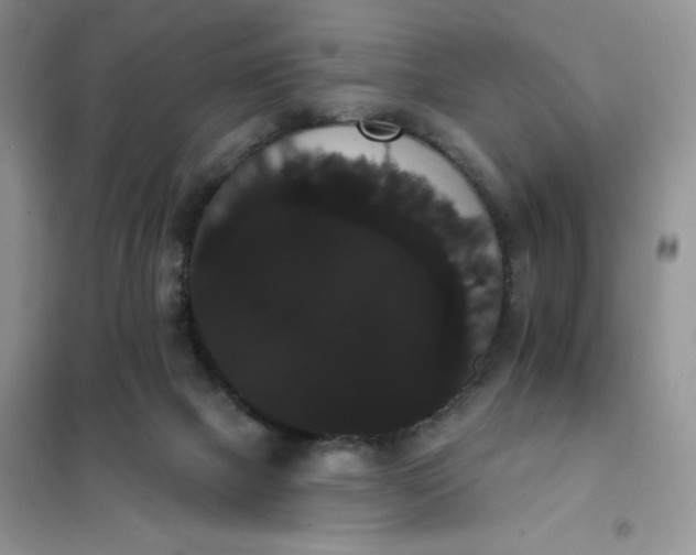 X0000101980073200808011109