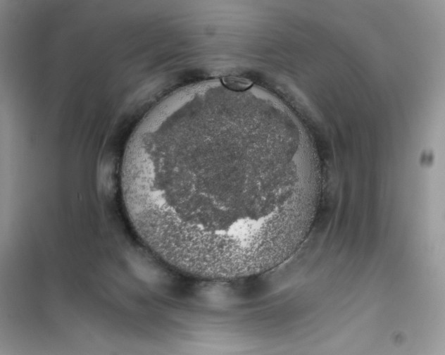 X0000101980074200808011109