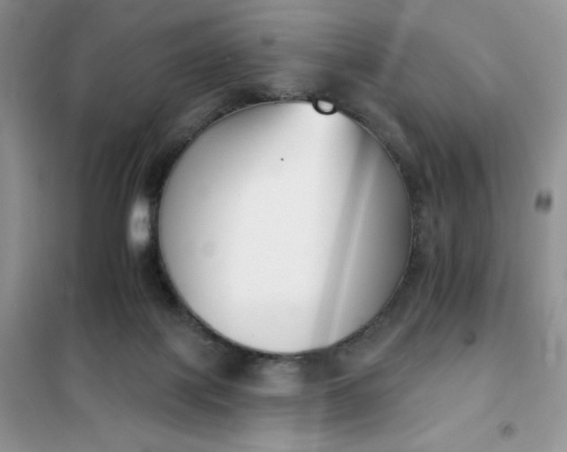 X0000101980075200808011109