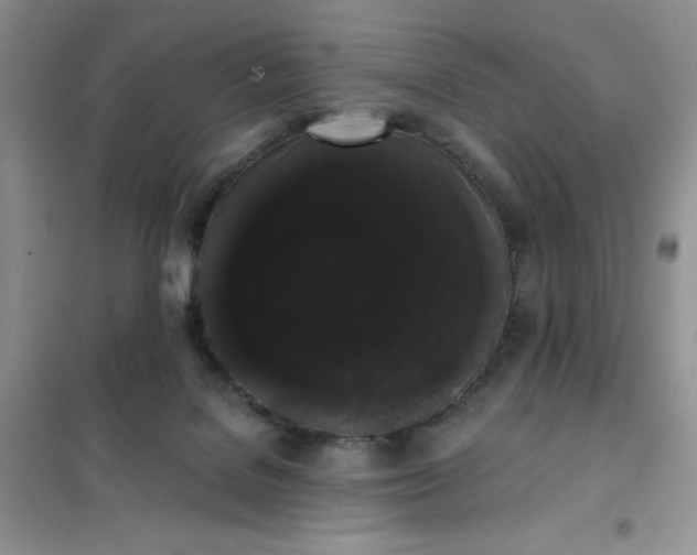 X0000101980076200808011109