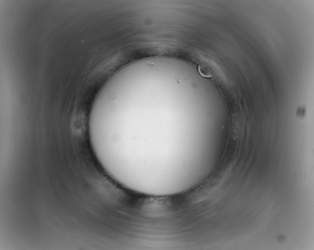 X0000101980077200808011109